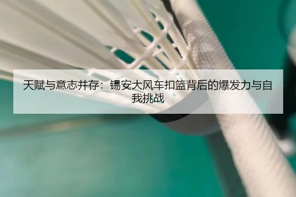 天赋与意志并存：锡安大风车扣篮背后的爆发力与自我挑战